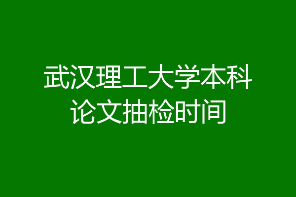 武汉理工大学本科论文抽检时间