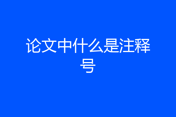 论文中什么是注释号