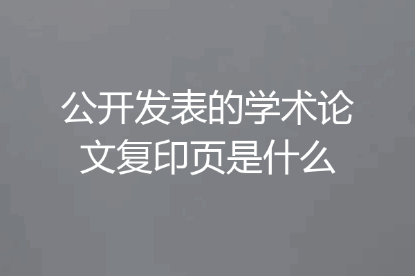 公开发表的学术论文复印页是什么