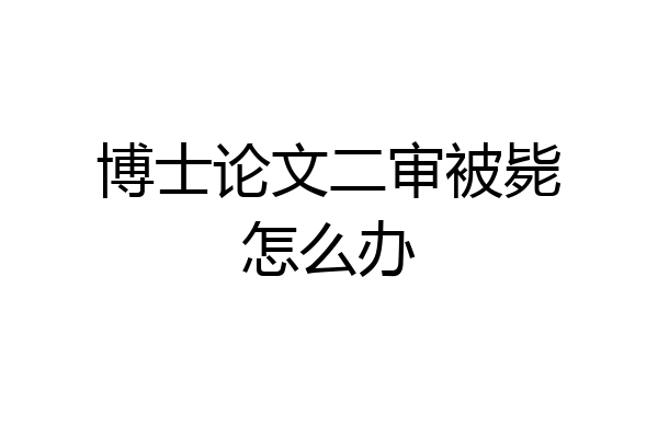 博士论文二审被毙怎么办