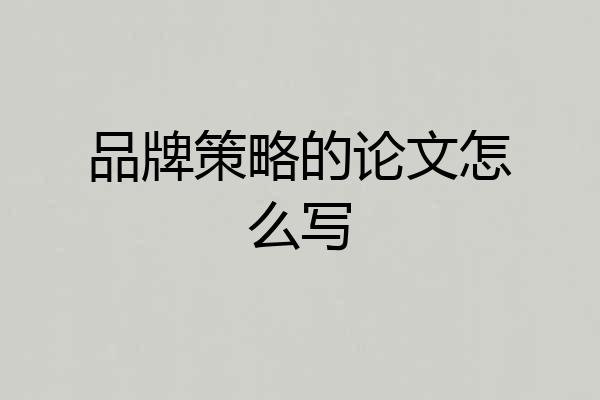 品牌策略的论文怎么写