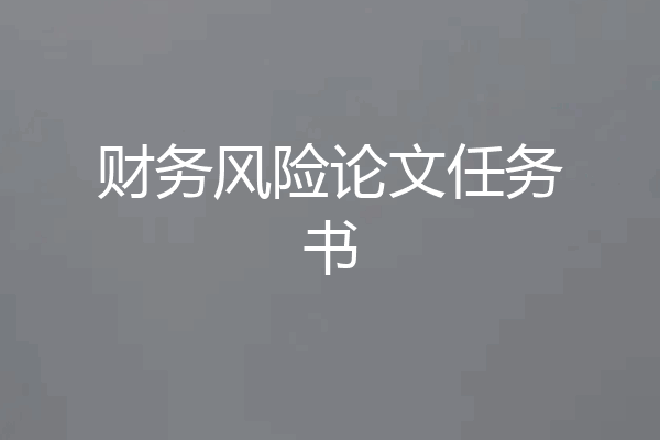 财务风险论文任务书