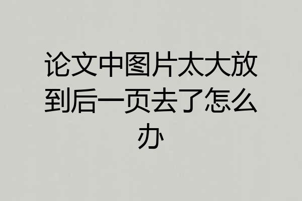 论文中图片太大放到后一页去了怎么办