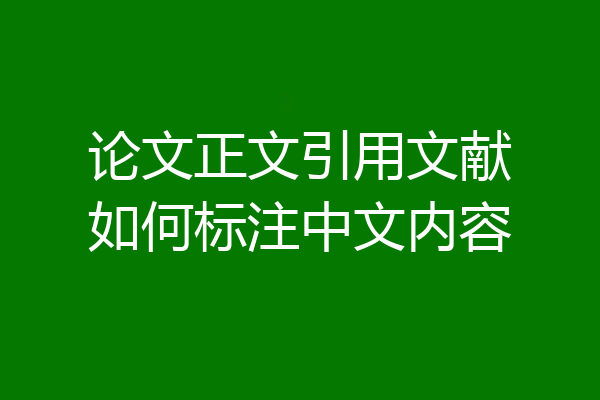 论文正文引用文献如何标注中文内容