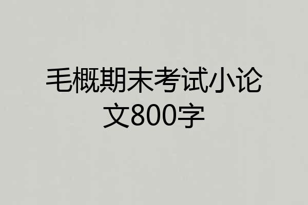 毛概期末考试小论文800字