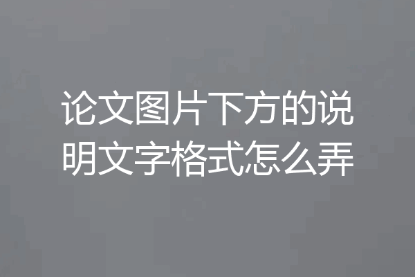 论文图片下方的说明文字格式怎么弄