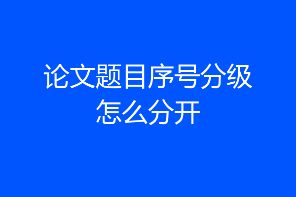 论文题目序号分级怎么分开