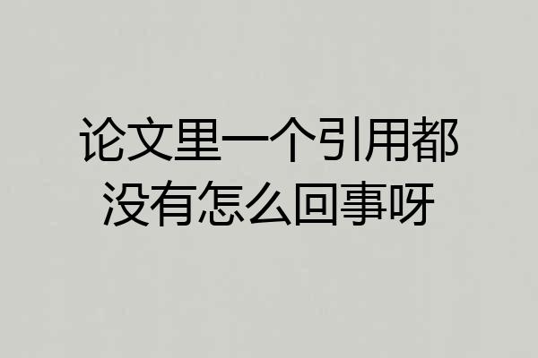 论文里一个引用都没有怎么回事呀