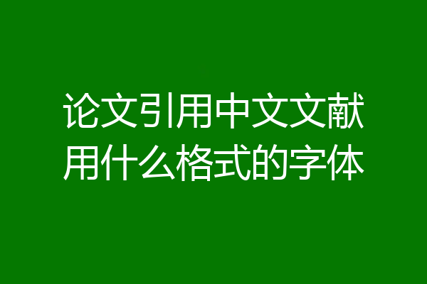 论文引用中文文献用什么格式的字体