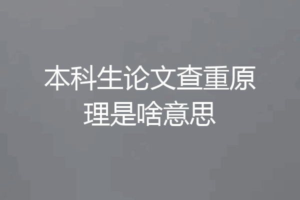 本科生论文查重原理是啥意思