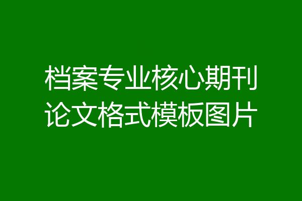 档案专业核心期刊论文格式模板图片