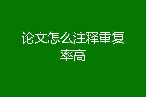 论文怎么注释重复率高