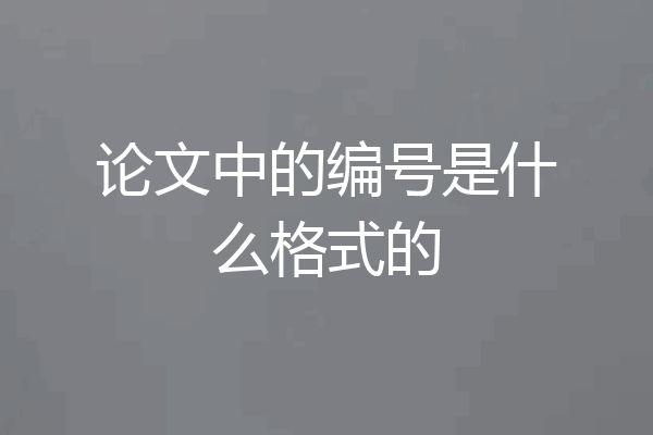 论文中的编号是什么格式的