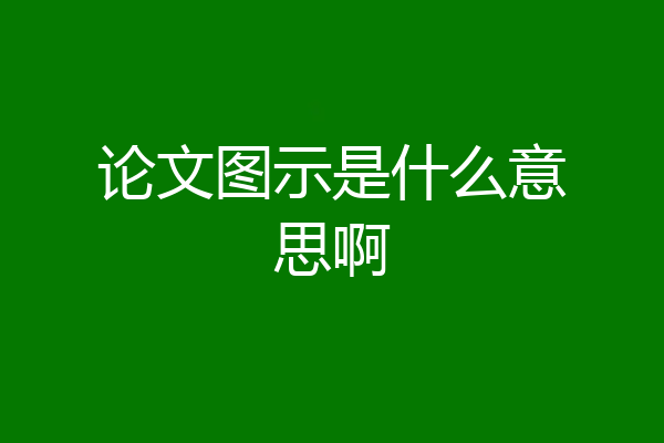论文图示是什么意思啊