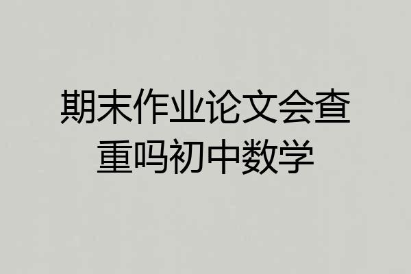 期末作业论文会查重吗初中数学