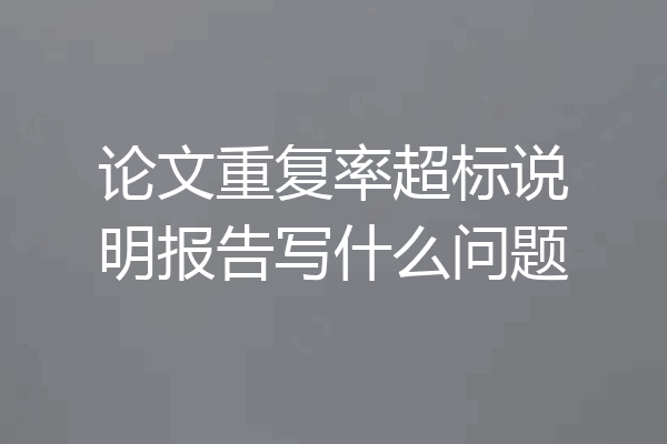 论文重复率超标说明报告写什么问题