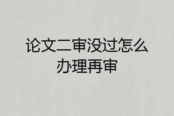论文二审没过怎么办理再审