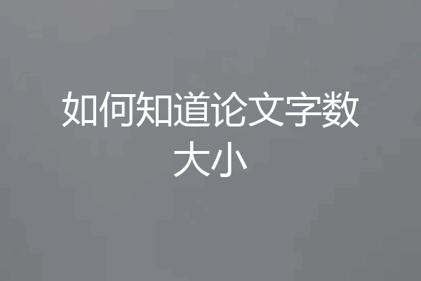 如何知道论文字数大小