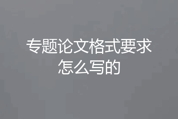 专题论文格式要求怎么写的