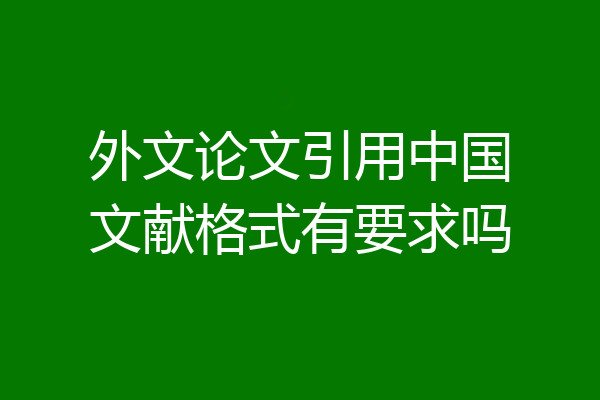 外文论文引用中国文献格式有要求吗
