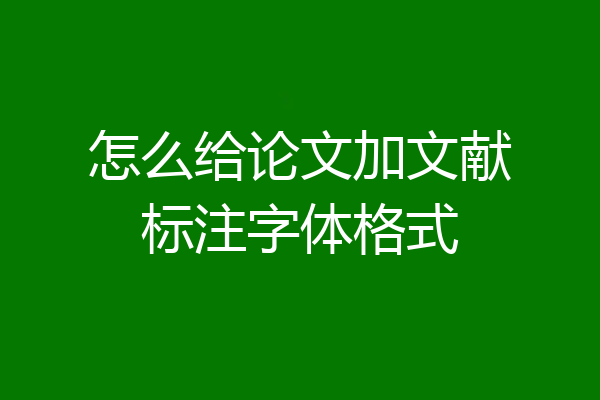 怎么给论文加文献标注字体格式