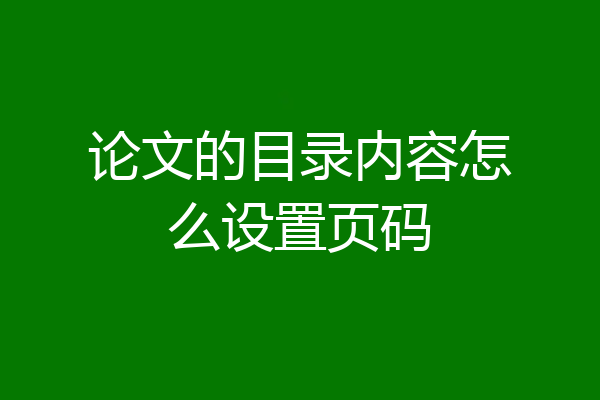 论文的目录内容怎么设置页码
