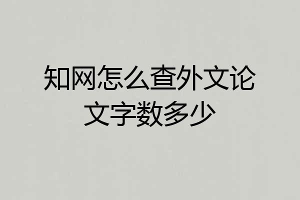 知网怎么查外文论文字数多少