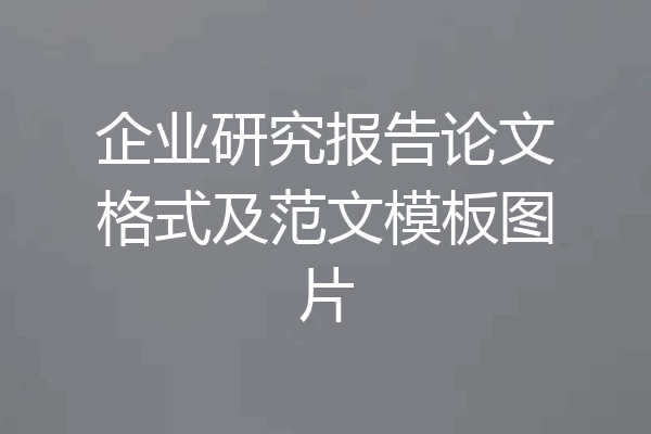 企业研究报告论文格式及范文模板图片