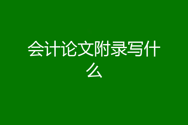 会计论文附录写什么