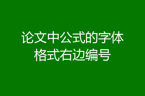 论文中公式的字体格式右边编号