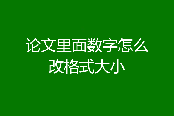 论文里面数字怎么改格式大小