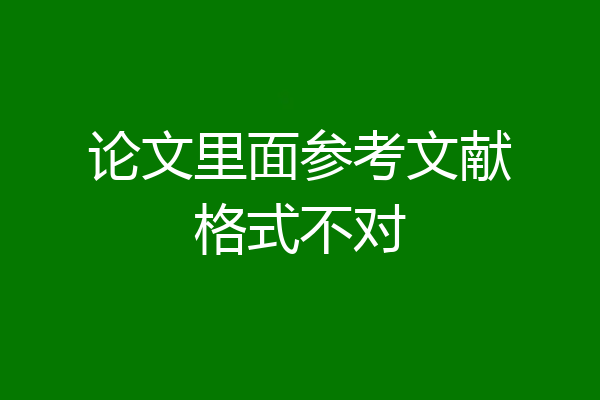论文里面参考文献格式不对