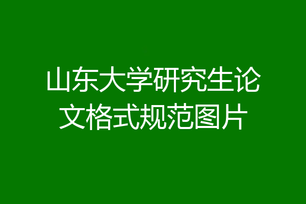 山东大学研究生论文格式规范图片