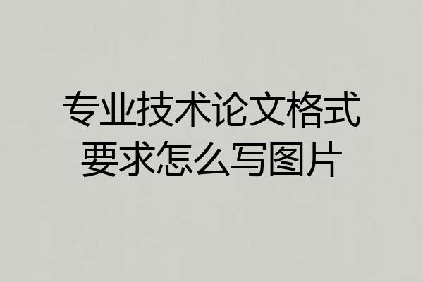 专业技术论文格式要求怎么写图片