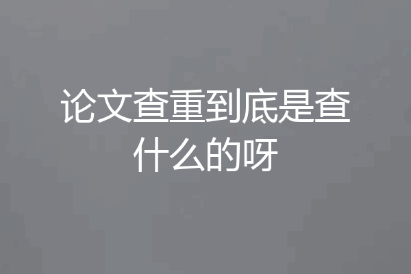 论文查重到底是查什么的呀