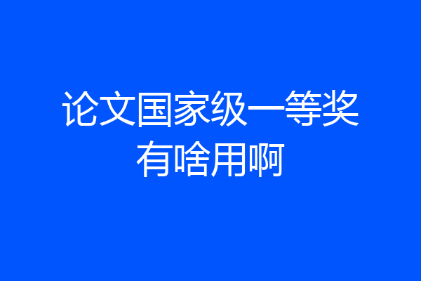 论文国家级一等奖有啥用啊