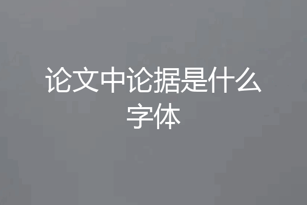 论文中论据是什么字体