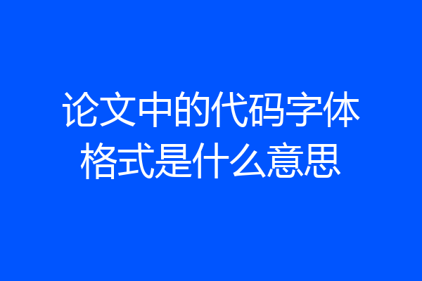 论文中的代码字体格式是什么意思