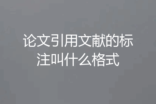 论文引用文献的标注叫什么格式