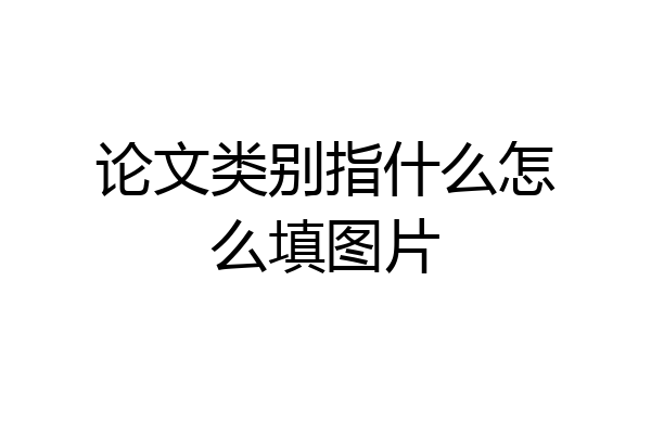 论文类别指什么怎么填图片