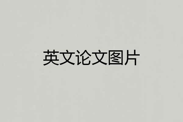 英文论文图片
