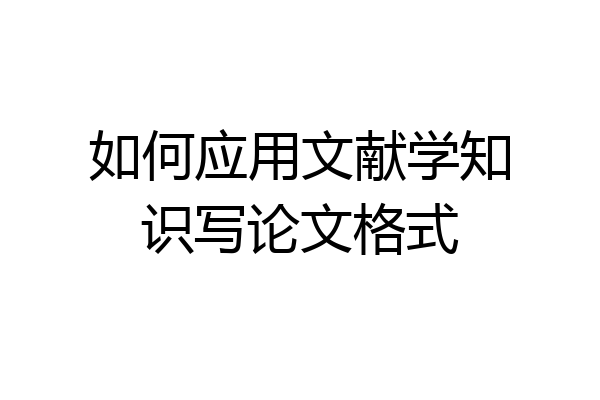 如何应用文献学知识写论文格式