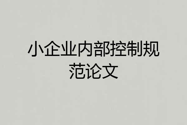 小企业内部控制规范论文