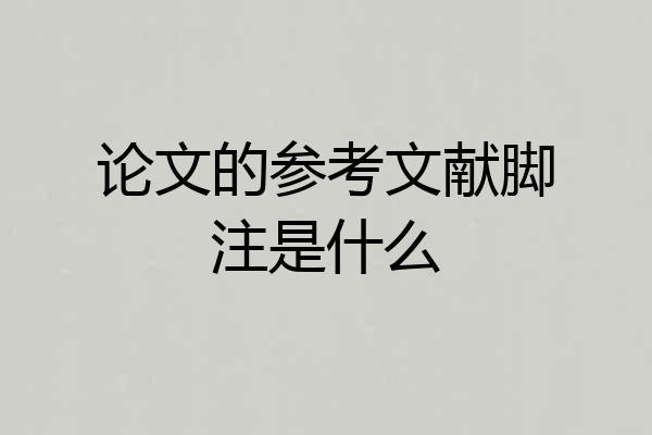 论文的参考文献脚注是什么