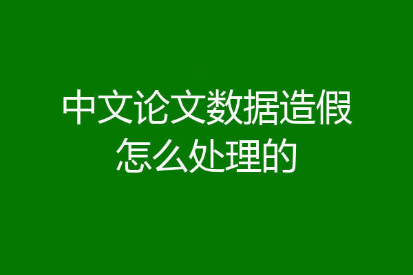 中文论文数据造假怎么处理的
