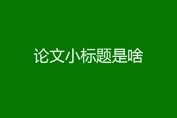 论文小标题是啥
