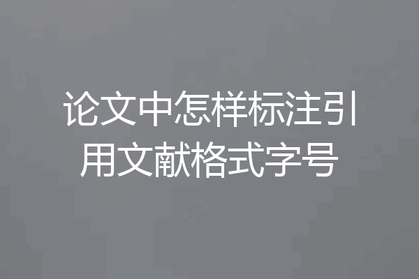 论文中怎样标注引用文献格式字号