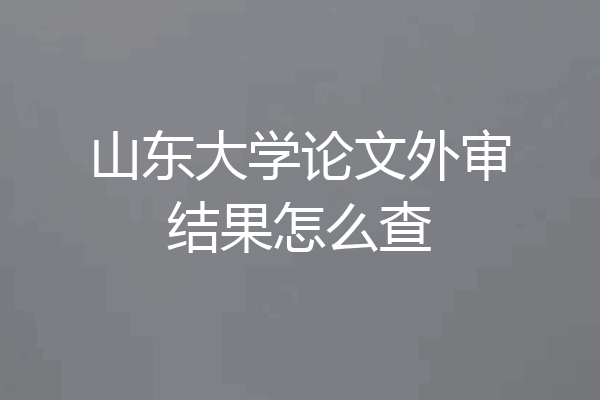 山东大学论文外审结果怎么查