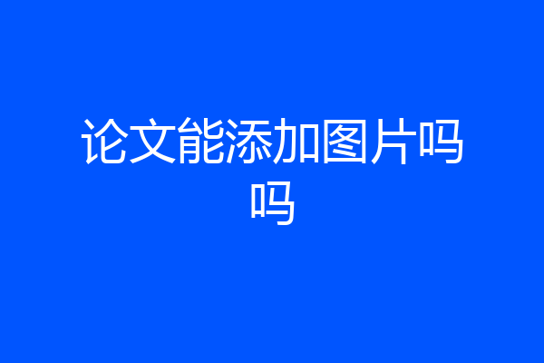 论文能添加图片吗吗