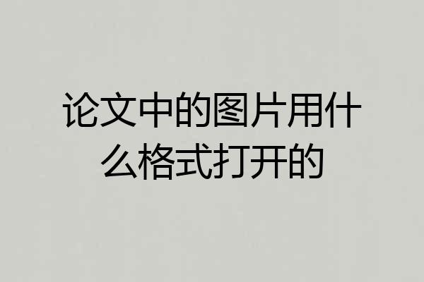 论文中的图片用什么格式打开的